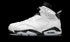 Air Jordan 6 "Reverse Oreo"